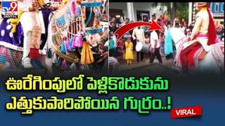 కాలేజ్‌ ఫెస్ట్‌లో .. వివాహబంధంతో ఒక్కటైన ప్రేమపక్షులు !!