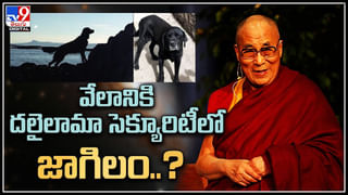 Viral Video: మహిళ పట్టాలు దాటుతుండగా కదిలిన రైలు..  తర్వాత ఏమైందంటే..? వైరల్ వీడియో