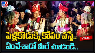 ఈ కోతి ఐ స్పెషలిస్ట్‌.. ఆ అడవిలో ఏకైక డాక్టర్‌.. చూస్తే వావ్ అనాల్సిందే