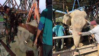 పంజాబ్‌లో టెన్షన్.. టెన్షన్.. హింసాత్మకంగా మారిన నిరసనలు.. 30 మంది పోలీసులకు గాయాలు..