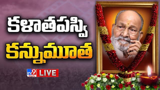 K.Viswanath: పవన్ ఫస్ట్ సినిమా ఎంట్రీ కళాతపస్వి కె.విశ్వనాథ్ సినిమాతోనే.. ఏ సినిమానో తెలుసా..!