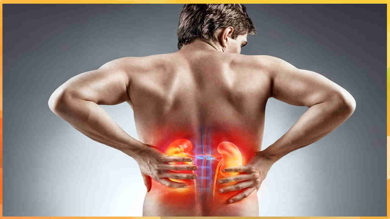 Kidney Disease : ఈ ఐదు అలవాట్లకు దూరంగా ఉండండి. లేదంటే కిడ్నీలకు ముప్పు తప్పదు.