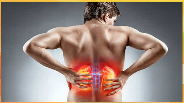 Kidney Disease : ఈ ఐదు అలవాట్లకు దూరంగా ఉండండి. లేదంటే కిడ్నీలకు ముప్పు తప్పదు.
