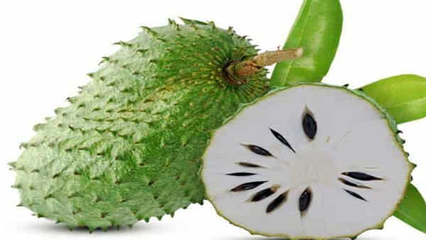 Health: ఈ పండు ఆరోగ్యానికి దివ్యౌషధం.. క్యాన్సర్, మధుమేహం వంటి రోగాలను తరిమి కొడుతుంది..!