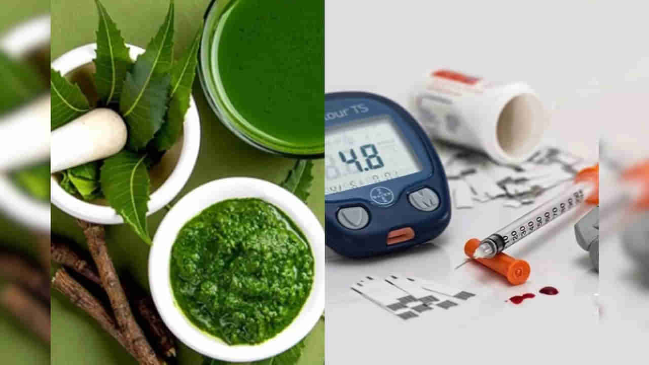 Diabetes: ఈ ఆకులను తీసుకుంటే.. షుగర్ లెవెల్స్ 500 ఉన్నా 90 కి దిగిరావాల్సిందే.. ఎలా తినాలంటే..