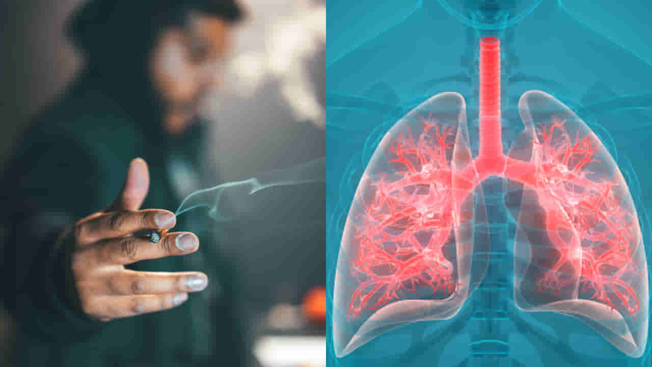 Lungs Healthy Diet: సిగరెట్టు మానలేకపోతున్నారా, అయితే ఫుడ్ తీసుకుంటే మీ లంగ్స్ ఇక భద్రం..!!