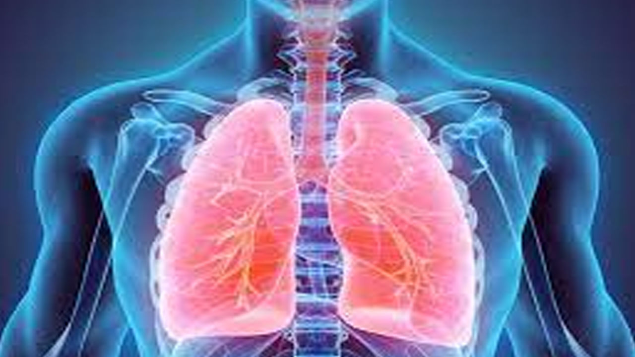 Lungs Health: ఊపిరితిత్తులు ఆరోగ్యంగా ఉండాలంటే వీటిని తప్పనిసరిగా తినాలట.. లేకపోతే..
