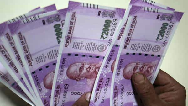 Business Ideas: సాఫ్ట్ వేర్ ఉద్యోగానికి మించిన సాలరీ కావాలా..? ఈ బిజినెస్ చేస్తే నెలకు రూ. 2 లక్షల వరకు సంపాదించే చాన్స్..