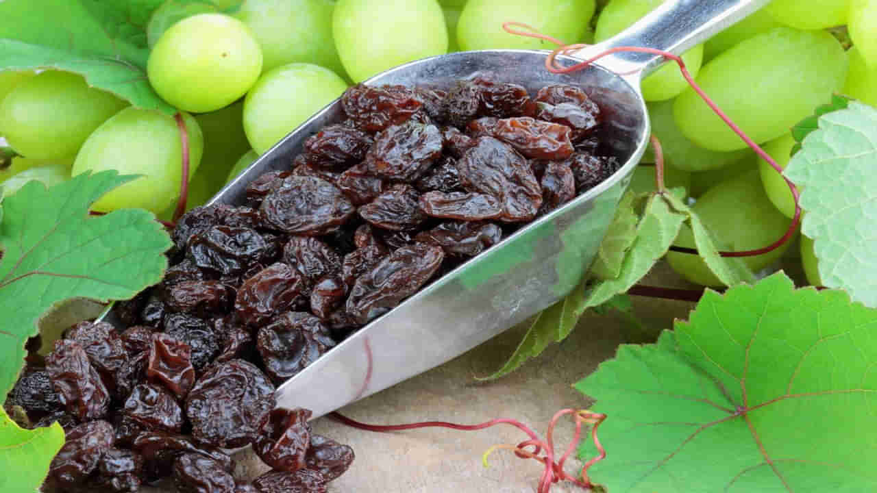 Raisins Benefits: పురుషుకు ఇది అమృతఫలం.. ఇది తింటే సంతానోత్పత్తి పెరుగడం మాత్రమే కాదు..