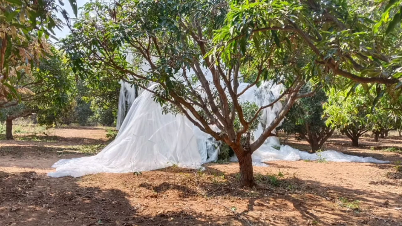 Nagarkurnool: ఉన్నఫలంగా రైతు పొలంలో ల్యాండ్ అయిన విచిత్ర బెలూన్.. దానిలో ఏముంది.. అధికారులు ఏం చెప్పారంటే..?