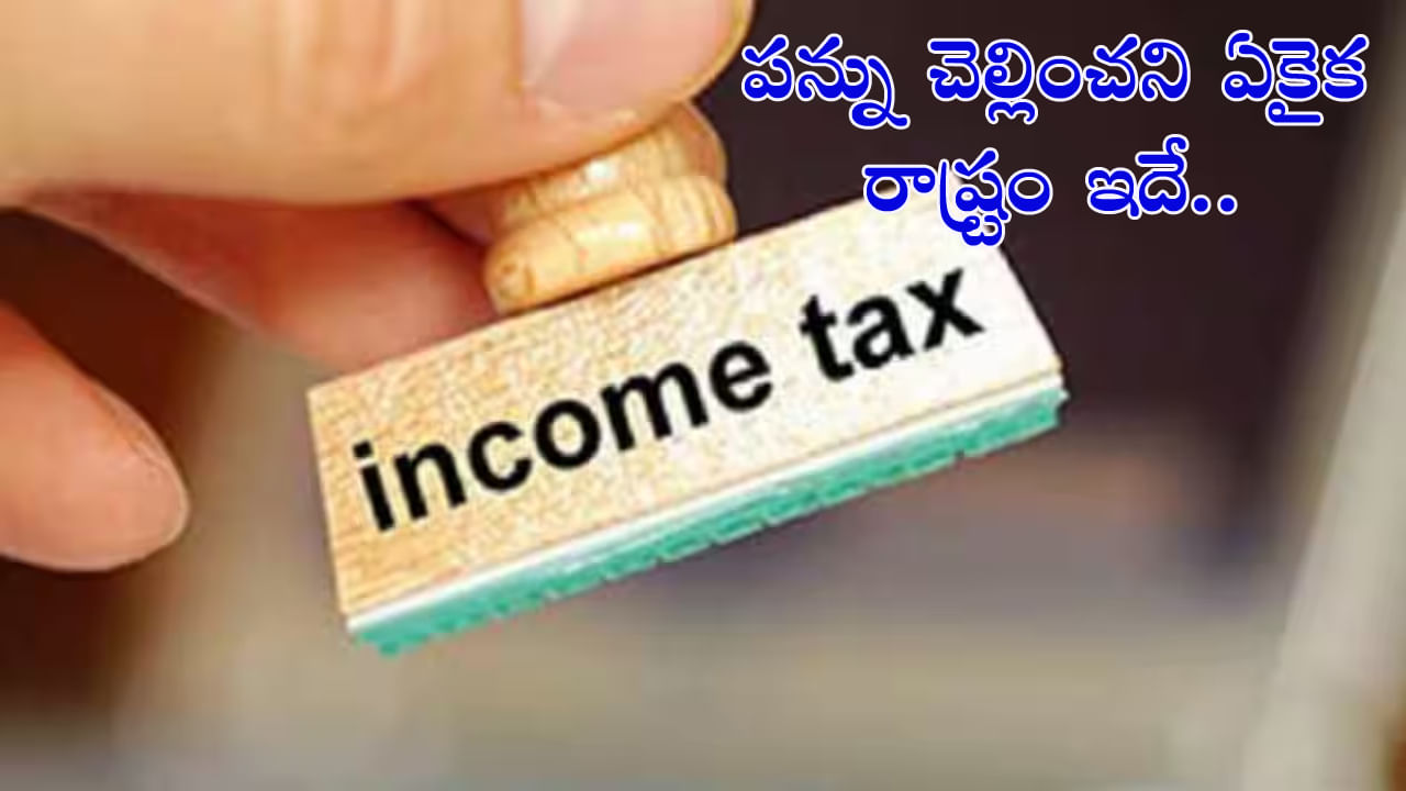 No income tax: ఈ రాష్ట్ర ప్రజలు ప్రభుత్వానికి పన్ను చెల్లించవల్సిన అవసరం లేదు.. ఎందుకో తెలుసా..?