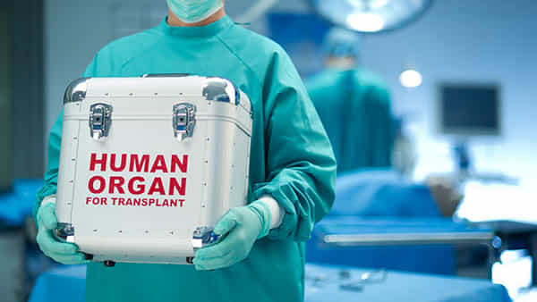 Organ Donation: అవయవ దానంలో మారిన కీలక నిబంధనలు.. వయోపరిమితి అంశంలో కీలక అప్డేట్ ఇదే..