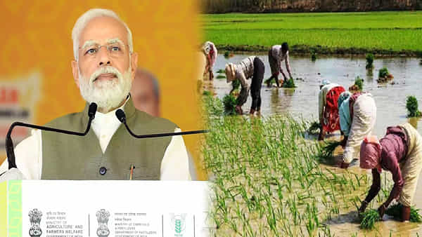PM Kisan Samman Nidhi Yojana: అన్నదాతలకు గుడ్న్యూస్.. ఈరోజే అకౌంట్లోకి డబ్బులు.. ఎలా చెక్ చేసుకోవాలంటే..