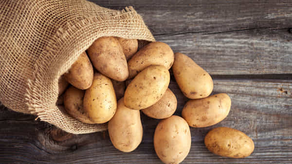 Potato Side Effect: మీరు బంగాళాదుంపలను ఎక్కువగా తింటున్నారా..? అయితే ఈ ప్రమాదాలు పొంచి ఉన్నట్లే..