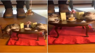 Optical illusion: కళ్లు బైర్లు కమ్మాల్సిందే.. ‘Fax’ పదాల నడుమ దాగున్న ‘Fox’ వర్డ్‌ను కనిపెట్టే సత్తా మీకుందా.?