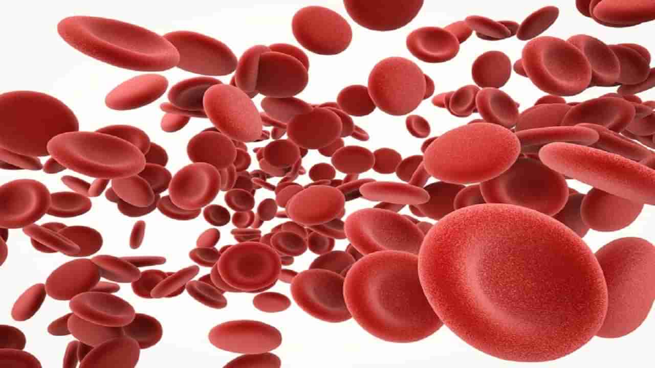 Sickle Cell Anemia: తలసేమియా వ్యాధి అంటే ఏంటో తెలుసా..? చికిత్సే లేని ఈ వ్యాధిని ఎలా తగ్గిస్తారు..?