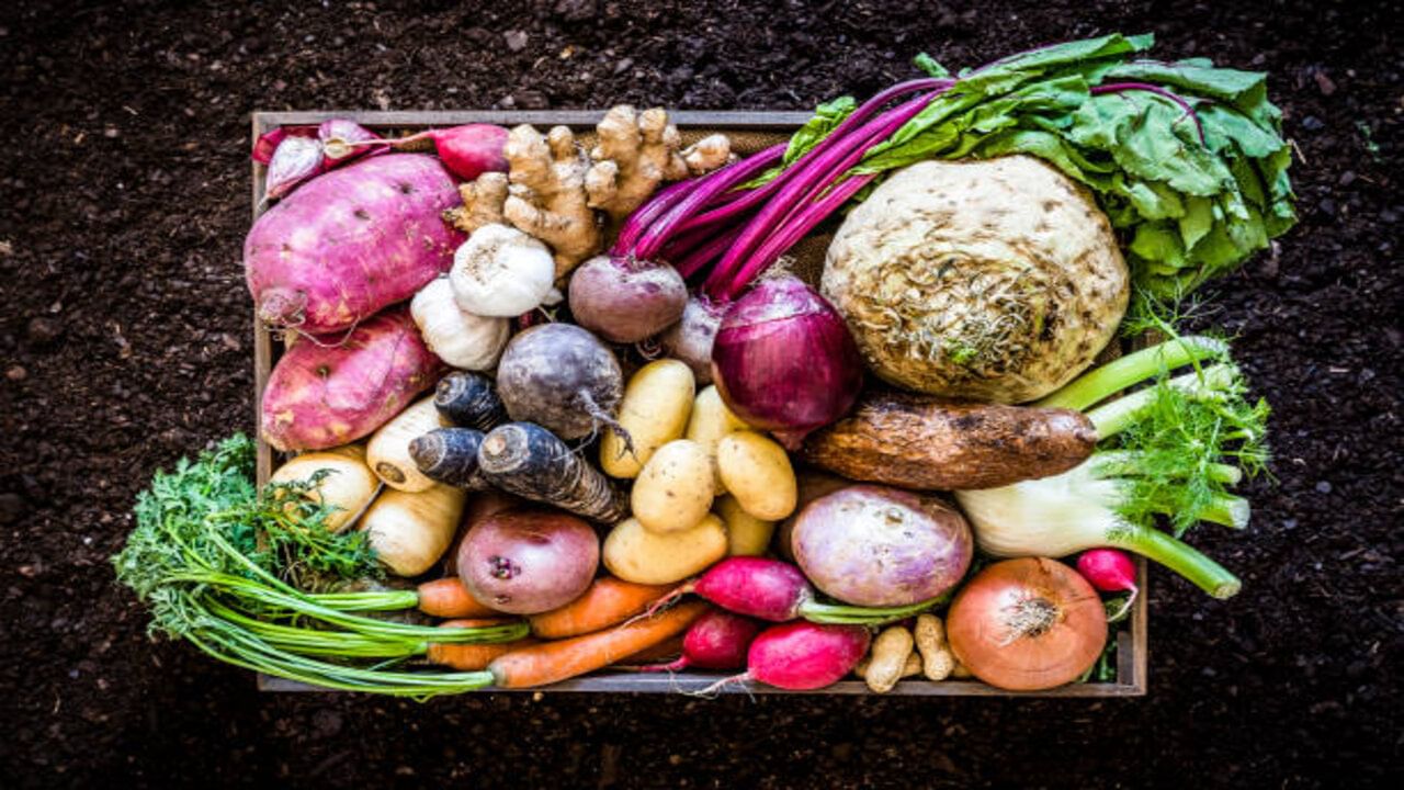 Root Veggies : తాజా దుంపకూరలు తింటున్నారా, అయితే ఇక డాక్టర్ దగ్గరకు వెళ్లాల్సిన పనిలేదు..ఎందుకో తెలుసుకోండి..!!