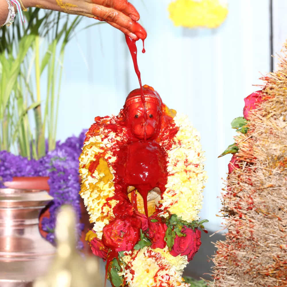 ఓ పత్రమో.. పుష్పమో .. ఓ ఫలమో.. కాసిన్ని నీళ్లో... భక్తితో సమర్పిస్తే చాలు.. సంతోషంగా స్వీకరించే కారుణ్య మూర్తి ఆ విభువు. అలాంటిది మనసును పువ్వులుగా సమర్పిస్తే.! భక్తుల కోసం ఆ భగవంతుడు దివి నుంచి భువికి రాకుండా వుంటాడా! ముక్కోటి దేవతలు ఒక్కటై వచ్చారు.