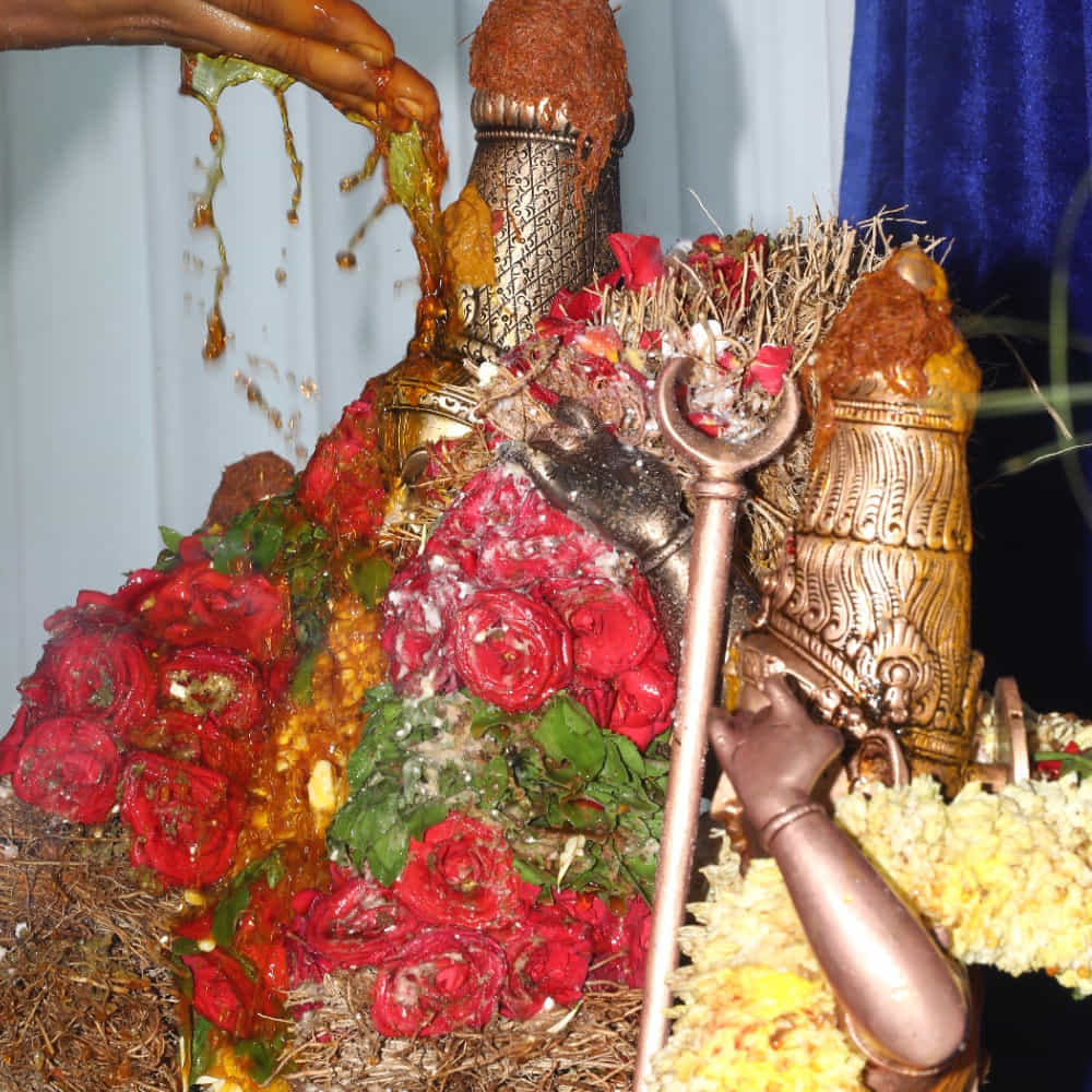 ఓ పత్రమో.. పుష్పమో .. ఓ ఫలమో.. కాసిన్ని నీళ్లో... భక్తితో సమర్పిస్తే చాలు.. సంతోషంగా స్వీకరించే కారుణ్య మూర్తి ఆ విభువు. అలాంటిది మనసును పువ్వులుగా సమర్పిస్తే.! భక్తుల కోసం ఆ భగవంతుడు దివి నుంచి భువికి రాకుండా వుంటాడా! ముక్కోటి దేవతలు ఒక్కటై వచ్చారు.