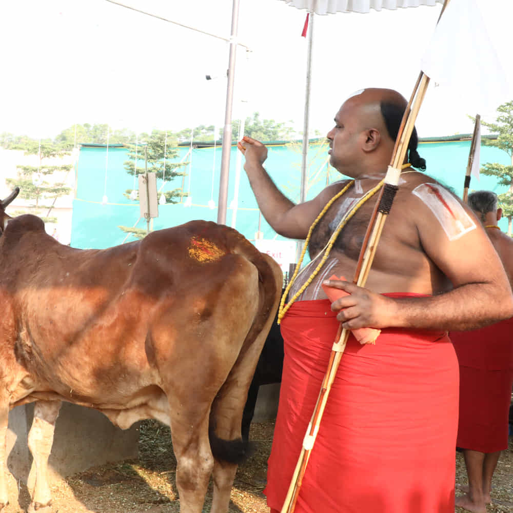 సమతా కుంభ్ 2023 బ్రహ్మోత్సవాల్లో భాగంగా తెప్పోత్సవం ఘనంగా నిర్వహించారు. శ్రీ త్రిడండి చినజీయర్ స్వామి పర్యవేక్షణలో తెప్పోత్సవం కనుల పండుగగా సాగింది. శ్రీ భగవత్ రామానుజ, పరమహంస స్వరూపుల ఒడిలో సాకేత రామచంద్రప్రభువుతో పాటు 18 దివ్యదేశాల మూర్తులను వేంచేయింపజేసి ఉత్సవం జరిపించారు.