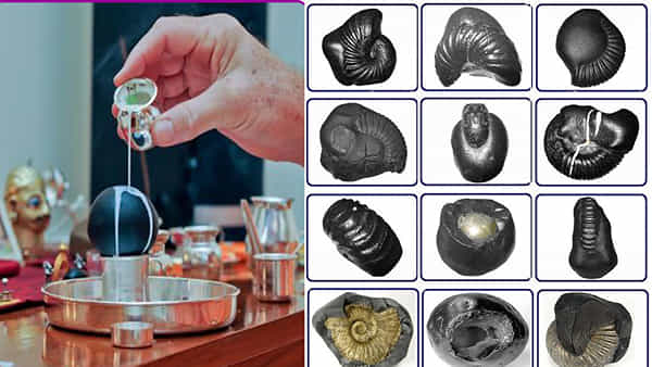 Shaligram: 6 కోట్ల ఏళ్లనాటి సాలగ్రామ శిలతో సీతారాములు.. సాలగ్రామం అంటే ఏమిటి? ఎన్ని రకాలో మీకు తెలుసా..