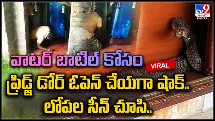 Shocking Video: వాటర్ బాటిల్ కోసం ఫ్రిడ్జ్ డోర్ ఓపెన్ చేయగా షాక్.. లోపల సీన్ చూసి అంత షాక్.. వీడియో. Shocking Video: వాటర్ బాటిల్ కోసం ఫ్రిడ్జ్ డోర్ ఓపెన్ చేయగా షాక్.. లోపల సీన్ చూసి అంత షాక్.. వీడియో.
