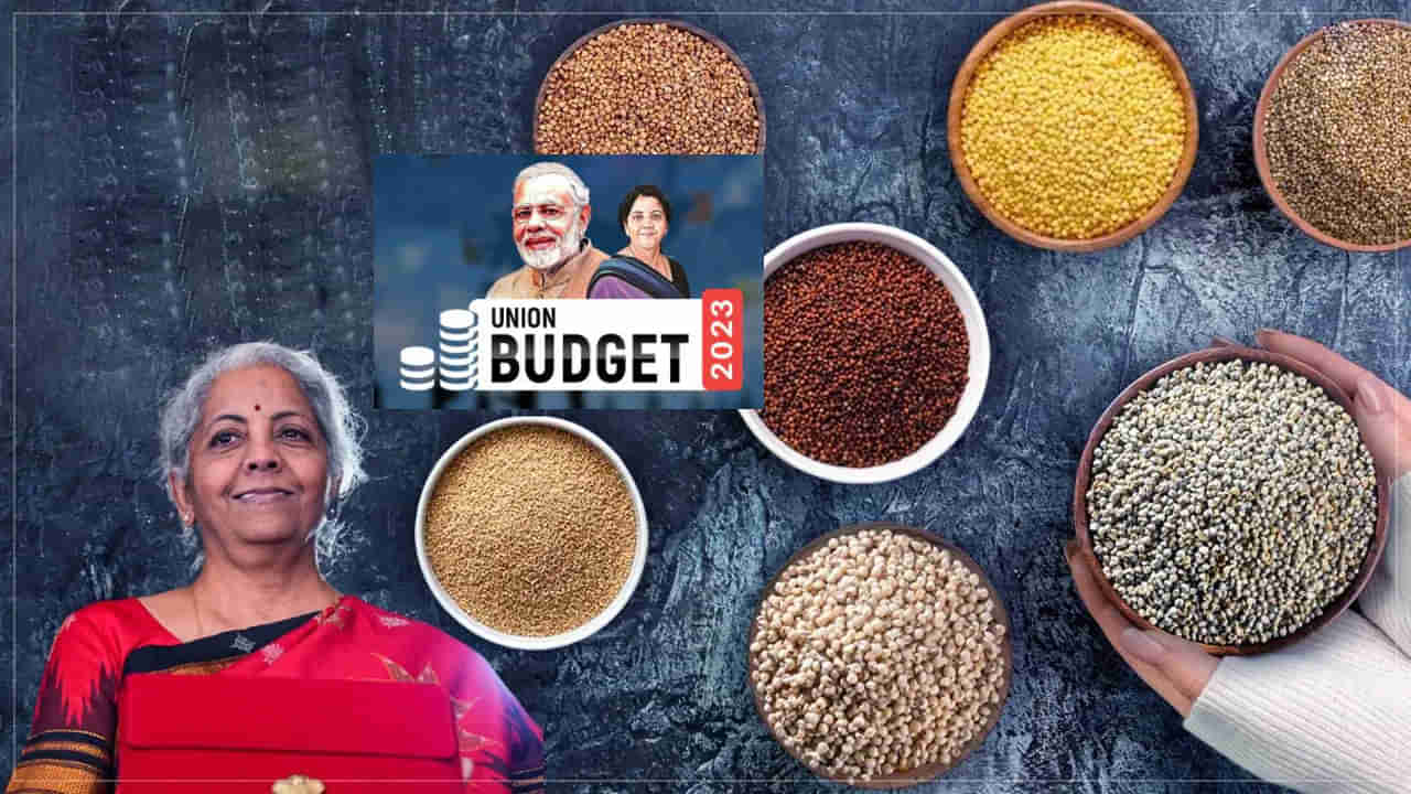 Budget 2023: అన్ని వర్గాలకు వరం.. తెలుగింటి కోడలు నిర్మలమ్మ తీసుకొచ్చిన శ్రీ అన్న పథకం.. ఎవరికి ఎంత లాభమో తెలుసా..