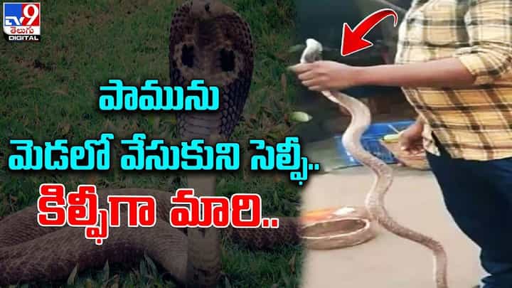 పామును మెడలో వేసుకుని శివుడిలా స్టిల్ ఇవ్వబోయాడు.. చివరికి ఏమైందంటే ?? పామును మెడలో వేసుకుని శివుడిలా స్టిల్ ఇవ్వబోయాడు.. చివరికి ఏమైందంటే ??