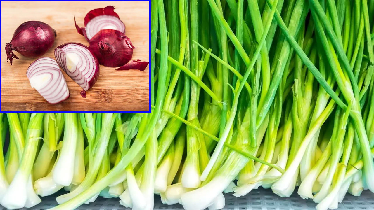 Spring Onions Benefits: ఉల్లి కాడలతో ఎన్నో ప్రయోజనాలు.. తెలిస్తే ఆశ్చర్యపోవాలసిందే..