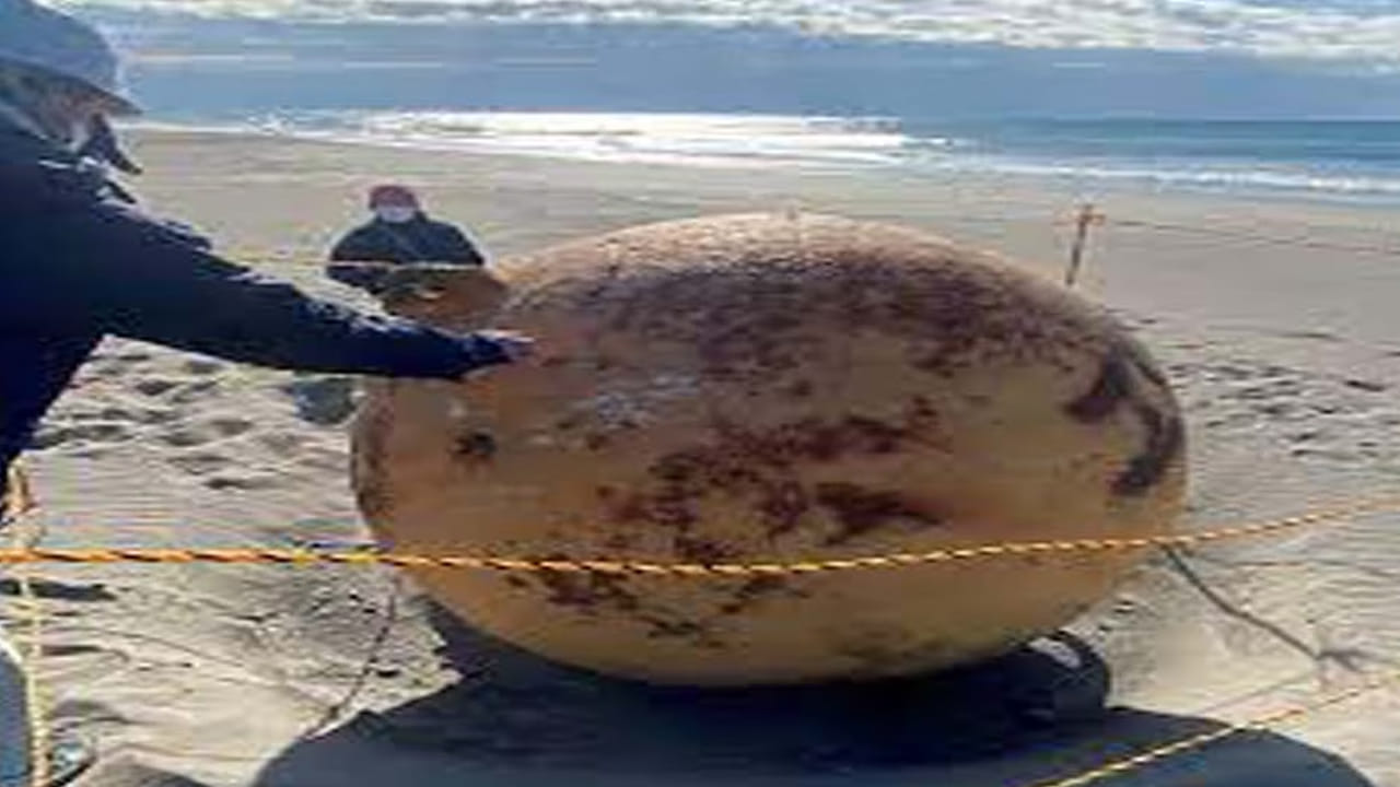 బీచ్‌లో కొట్టుకువచ్చిన వింత బంతి... ఏ క్షణానైనా పేలిపోతుందని.. భయం భయంగా.. Telugu News Japan