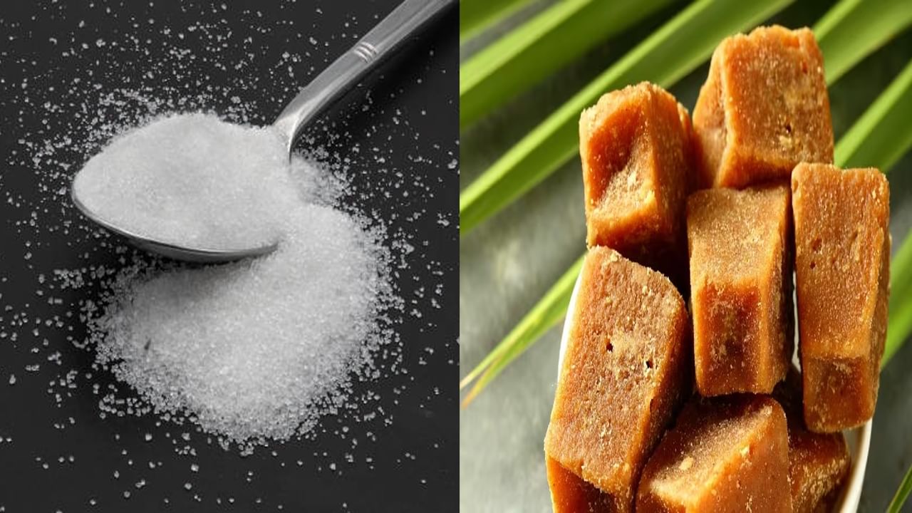 Sugar or Jaggery : చక్కెర వర్సెస్ బెల్లం, రెండింటిలో ఆరోగ్యానికి ఏది మంచిది.. నిపుణులు ఏం చెబుతున్నారు.!!