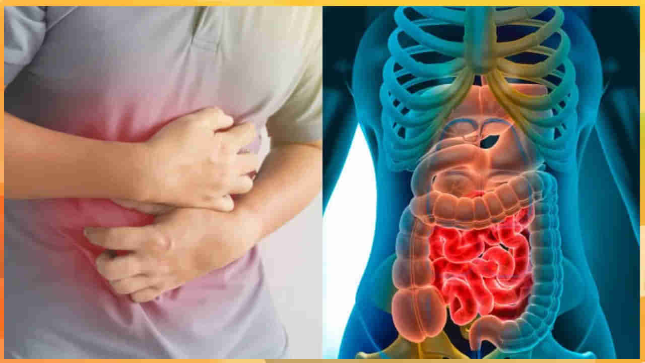 Stomach Cancer: పురుషులలో కడుపు క్యాన్సర్ ప్రమాదం ఎక్కువ.. ఎలాంటి లక్షణాలు, ఏయే జాగ్రత్తలు తీసుకోవాలి?