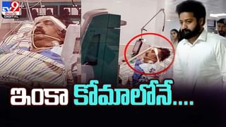 యంగ్ హీరోలకు చుక్కలు చూపిస్తున్న బాలయ్య, చిరు..