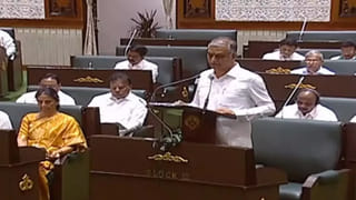 Telangana Budget: ప్రగతిశీల రాష్ట్రంగా తెలంగాణ.. బడ్జెట్ లో అన్ని రంగాలకు సమ ప్రాధాన్యం.. మంత్రి హరీశ్..