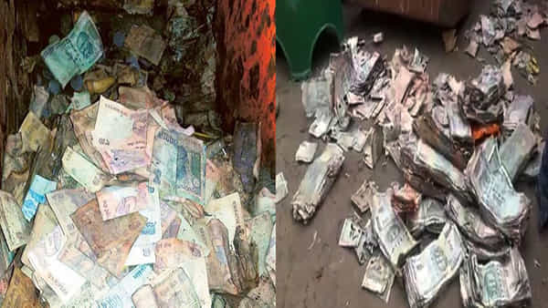 Termites Destroy Currency: బ్యాంక్ లాకర్లో దాచుకున్న సొమ్ముకు చెదలు.. లబోదిబో మంటున్న కస్టమర్స్.. సిబ్బంది నిర్లక్ష్యంపై మండిపాటు
