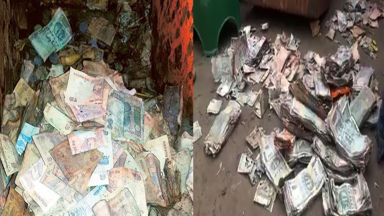 Termites Destroy Currency: బ్యాంక్ లాకర్‌లో దాచుకున్న సొమ్ముకు చెదలు.. లబోదిబో మంటున్న కస్టమర్స్.. సిబ్బంది నిర్లక్ష్యంపై మండిపాటు