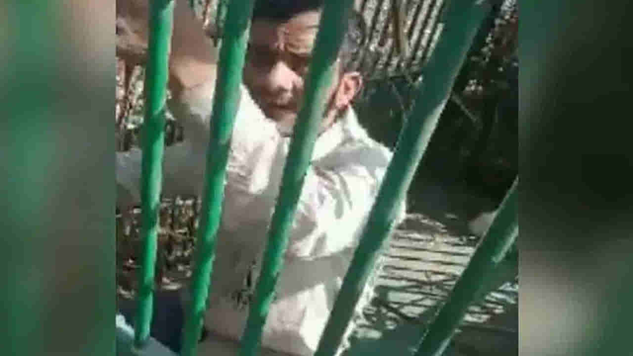 Trending Video: వీడి దొంగ తెలివికి సలాం కొట్టాల్సిందే.. ఏకంగా పులి బోనులో దూరి మరీ.. వీడియో చూసేయండి..