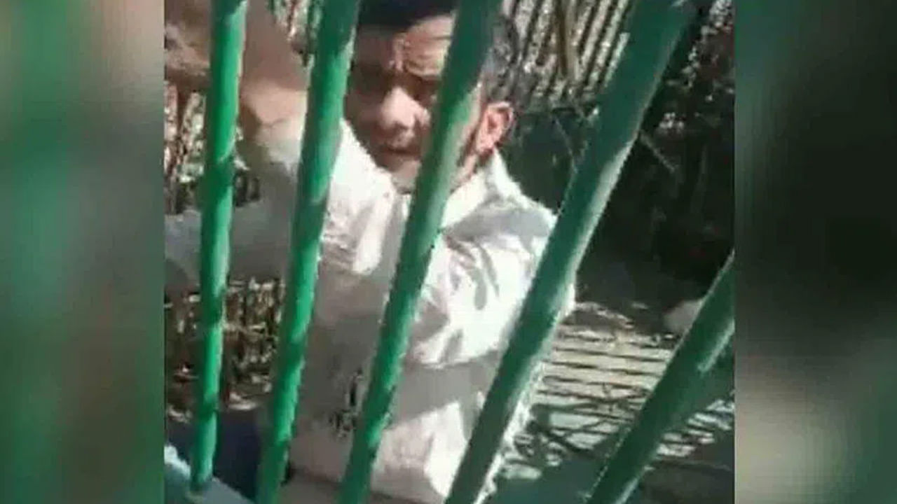 Trending Video: వీడి దొంగ తెలివికి సలాం కొట్టాల్సిందే.. ఏకంగా పులి బోనులో దూరి మరీ.. వీడియో చూసేయండి..