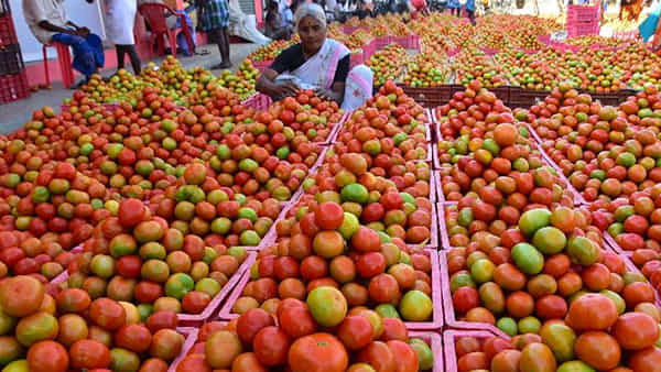 Tomato Price: రైతన్న కంట కన్నీరు పెట్టిస్తోన్న టమాటా ధర.. అక్కడ మార్కెట్లో కిలో రూపాయి మాత్రమే..