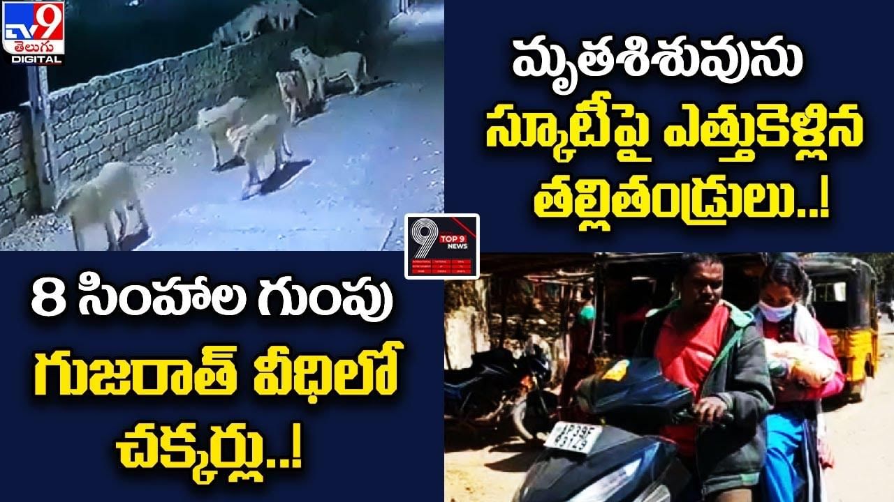 Digital TOP 9 NEWS: సింహాల గుంపు గుజరాత్ వీధిలో చక్కర్లు! | మృతశిశువును స్కూటీపై ఎత్తుకెళ్లిన తల్లితండ్రులు