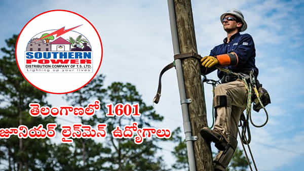 TSPDCL: తెలంగాణ విద్యుత్తు శాఖలో 1601 పోస్టుల భర్తీకి త్వరలో నోటిఫికేషన్.. మంత్రి కీలక ఆదేశాలు