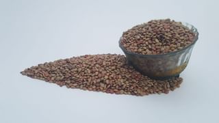 Packaged Foods: ప్యాకేజ్డ్ ఫుడ్స్ తో క్యాన్సర్ ముప్పు.. మహిళలకు మరింత ప్రమాదం