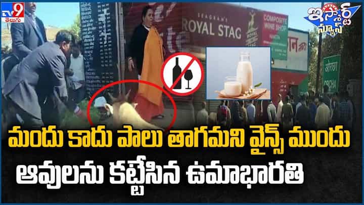 మందు కాదు పాలు తాగమని వైన్స్ ముందు ఆవులను కట్టేసిన ఉమాభారతి !! మందు కాదు పాలు తాగమని వైన్స్ ముందు ఆవులను కట్టేసిన ఉమాభారతి !!