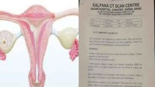 kushboo: సినీ నటి ఖుష్బూకు కీలక పదవి.. ఏకంగా నేషనల్ లెవెల్ లో బాధ్యతలు..