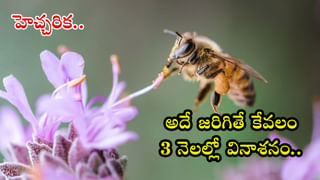 Banana Side Effects: అరటితో కూడా ఆరోగ్య సమస్యలే..! వివరాలు తెలిస్తే ఆశ్చర్యపోతారు..