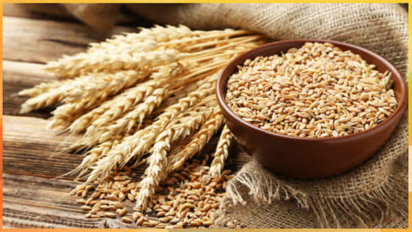 Wheat Sale: ఈ-వేలంలో రెండు రోజుల్లో 9 లక్షల టన్నుల గోధుమలు విక్రయం