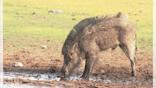 PM Modi: శివమొగ్గ ప్రజల చిరకాల స్వప్నం నెరవేరింది.. ఎయిర్‌పోర్ట్‌ను జాతికి అంకితం ఇచ్చిన ప్రధాని మోదీ..