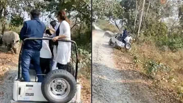 Watch: నేషనల్ పార్క్లో దారుణం.. పర్యాటకుల సఫారీ జీప్పై ఖడ్గమృగాల దాడి.. బోల్తాపడ్డ వాహనం