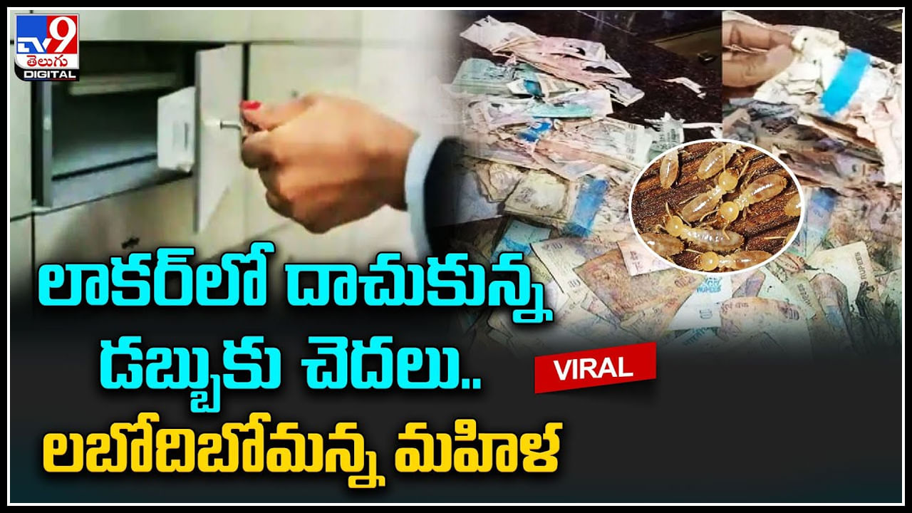 Cash in Bank locker: లాకర్‌లో దాచుకున్న డబ్బుకు చెదలు.. లబోదిబోమన్న మహిళ.. ఆ నష్టం ఎవరికీ ఇప్పుడు.?