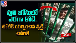 Funny Video: సెలూన్‌కు వెళ్లి హెయిర్‌ కట్‌చేయమన్న వ్యక్తి.. తలపాగా తీయగా బార్బర్‌ షాక్‌.